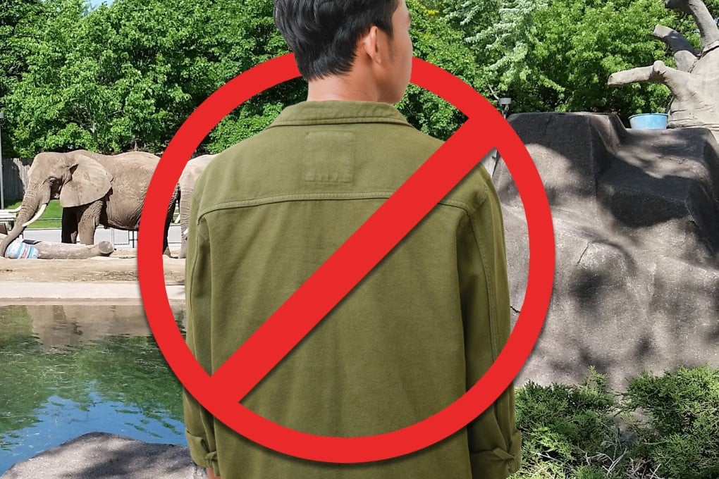 A Japanese zoo has banned solo male visitors, citing discomfort among families and couples due to flirtatious behaviour. Photo: SCMP composite/Shutterstock
