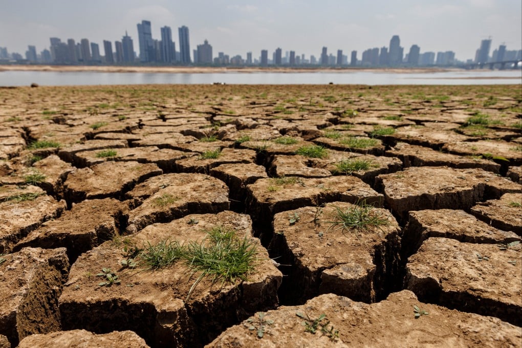 Rising temperatures are expected to raise challenges for cropping in China. Photo: Reuters