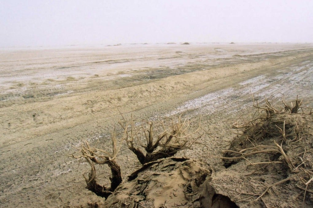 File photo of saline-alkali land in China’s Xinjiang Uygur autonomous region. Photo: VCG Photo