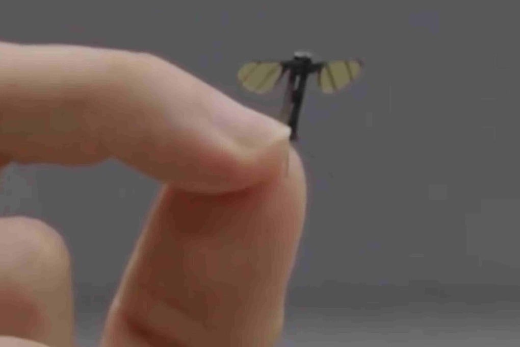A CCTV screenshot shows a Chinese mosquito-sized UAV developed at the National University of Defence Technology and suited to covert military operations. Photo: CCTV