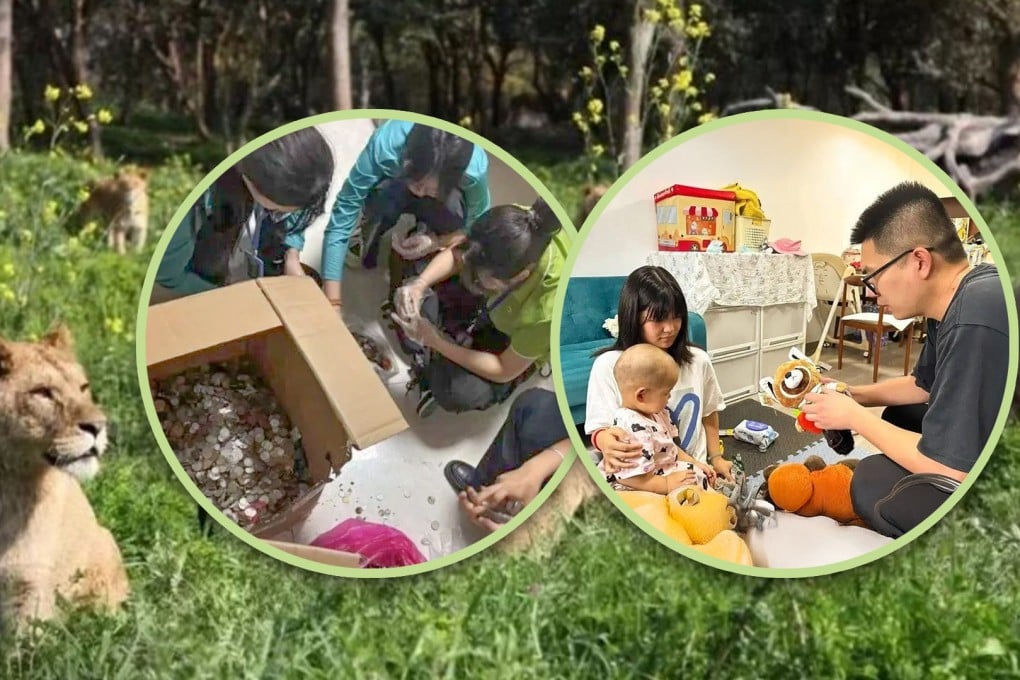 A zoo in China refunded the annual pass for a cancer-stricken girl, donated US$1,700 collected from its wishing well, and moved many hearts. Photo: SCMP composite/Sohu/Douyin