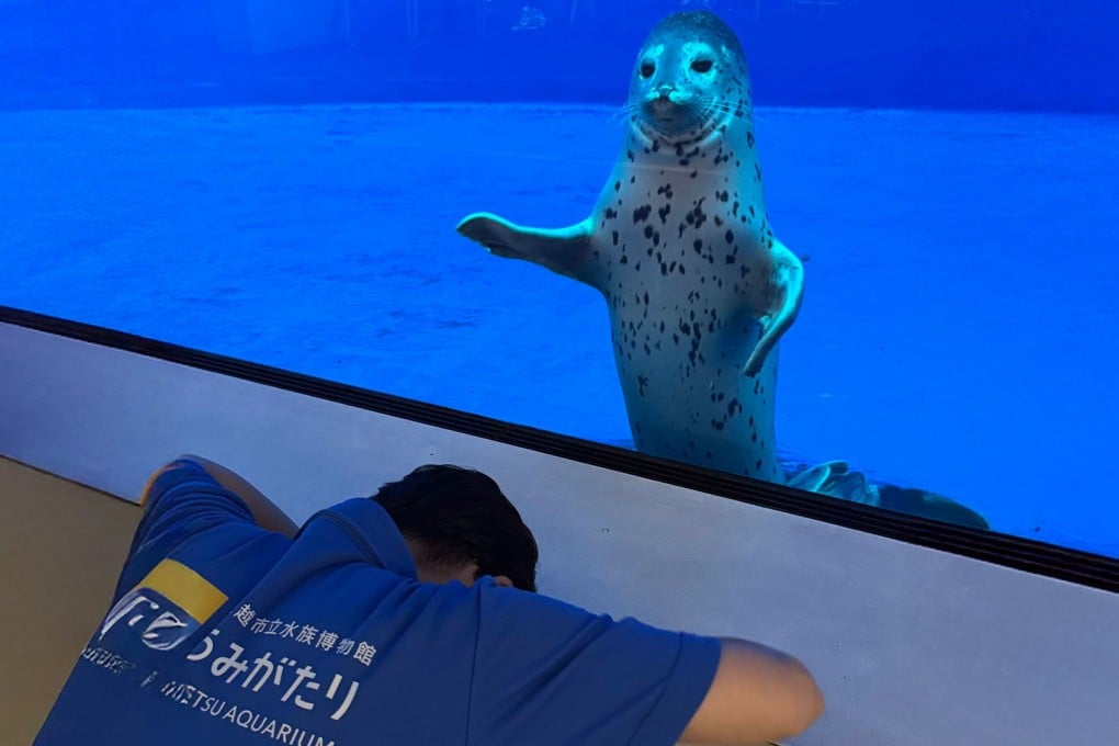 A Japanese zookeeper mistakenly called a baby seal the wrong name in a social media post, then later bowed to the animal in apology, melting hearts online. Photo: X.com