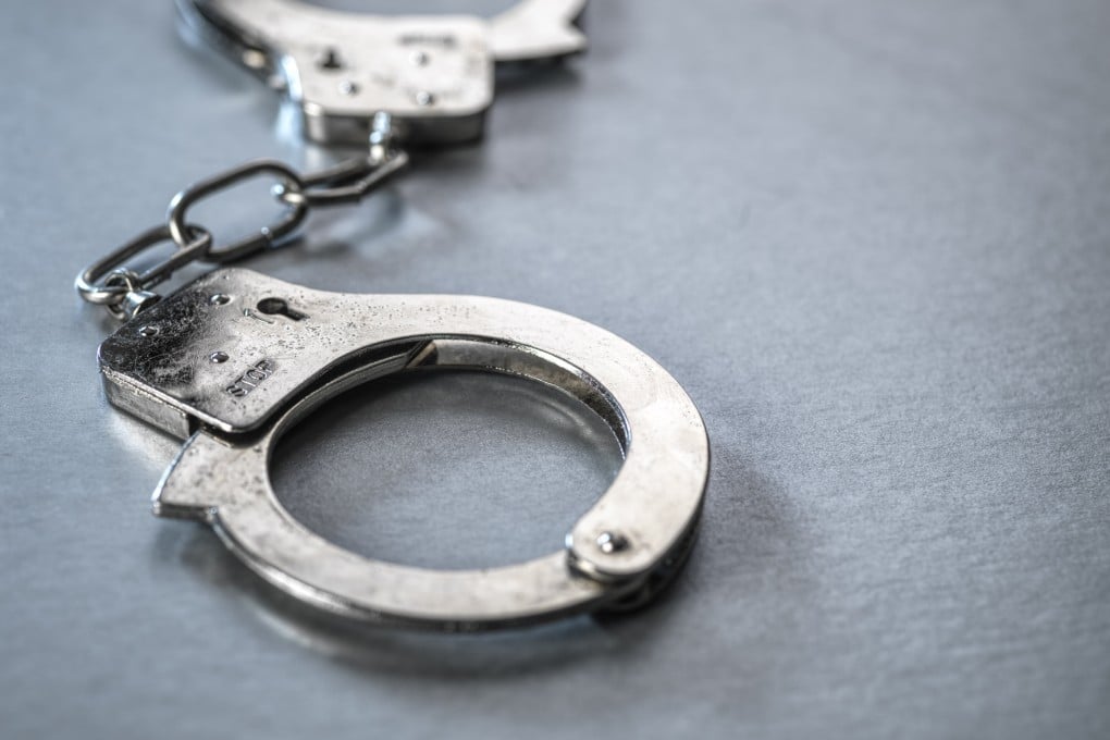 Hong Kong police have arrested three women for allegedly stealing HK$1 million from a pet supplies company. Photo: Getty Images