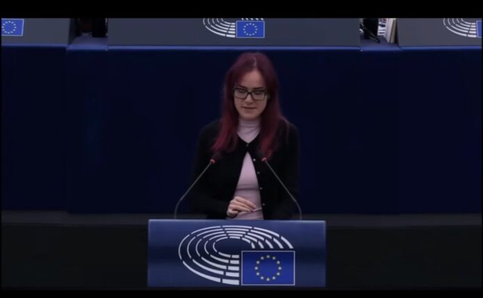 歐盟議會演講者在會議上發言,背景有歐盟旗.