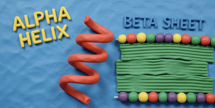 ALT標籤:分子生物學中的Alpha Helix與Beta Sheet模.