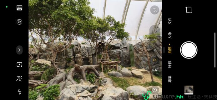 自然景觀園藝設計，展示綠色植物與石頭佈置.