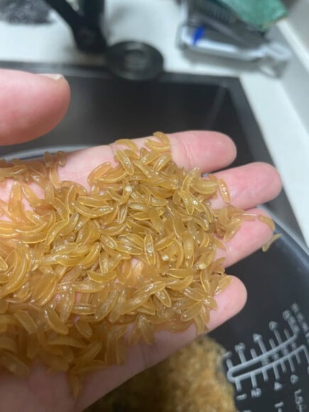 意粉放在手掌上,背景為廚房用品.