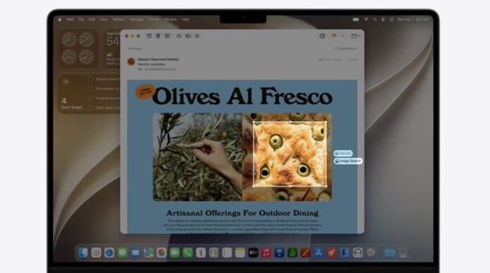 Olives A1 Fresco - 手工橄欖藝術品展示.