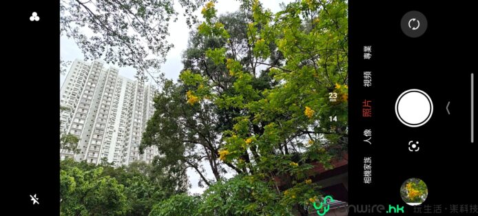 城市綠意與高樓景觀.