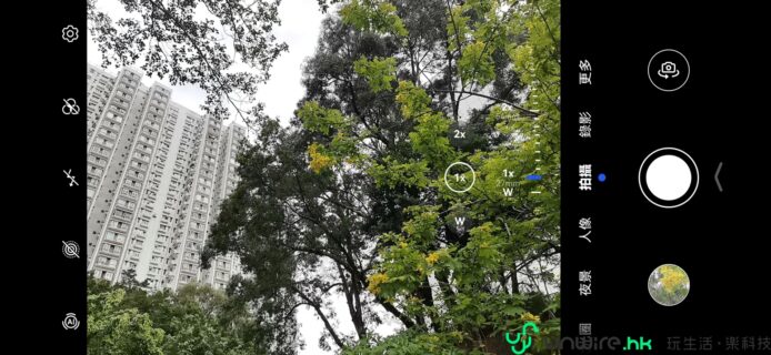 城市高樓與樹木的景色.