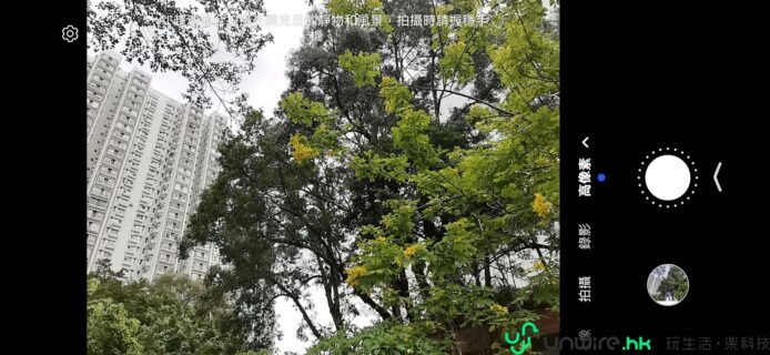 高樓與樹木的城市景觀.