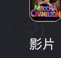 隱身效果展示，變色龍融入背景.
