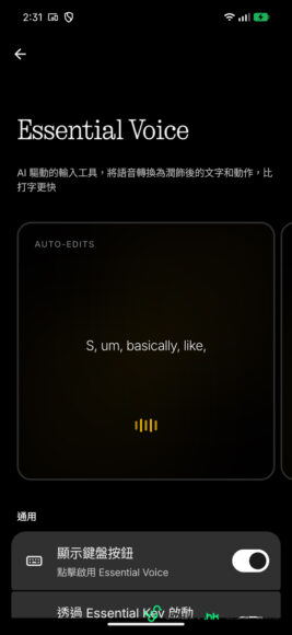Essential Voice 語音助手界面展示.