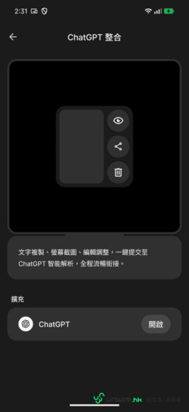 ChatGPT整合界面顯示設定選項.
