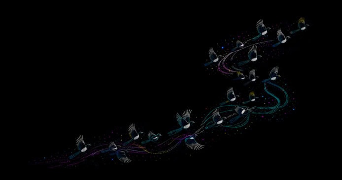 夜空中無人機形成鶴的圖案.