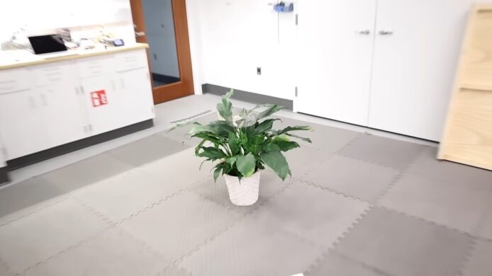 室內辦公室中的綠色植物.