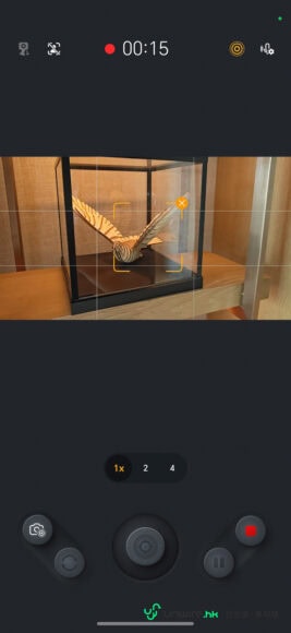 展示穩定拍攝效果的昆蟲模型.