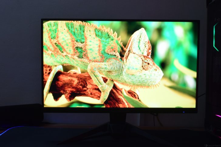 Monitor displaying vibrant chameleon image with vivid colors.