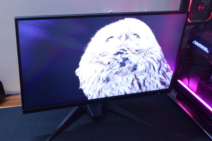 Computer monitor displaying a close-up owl image, next to a gaming PC setup.