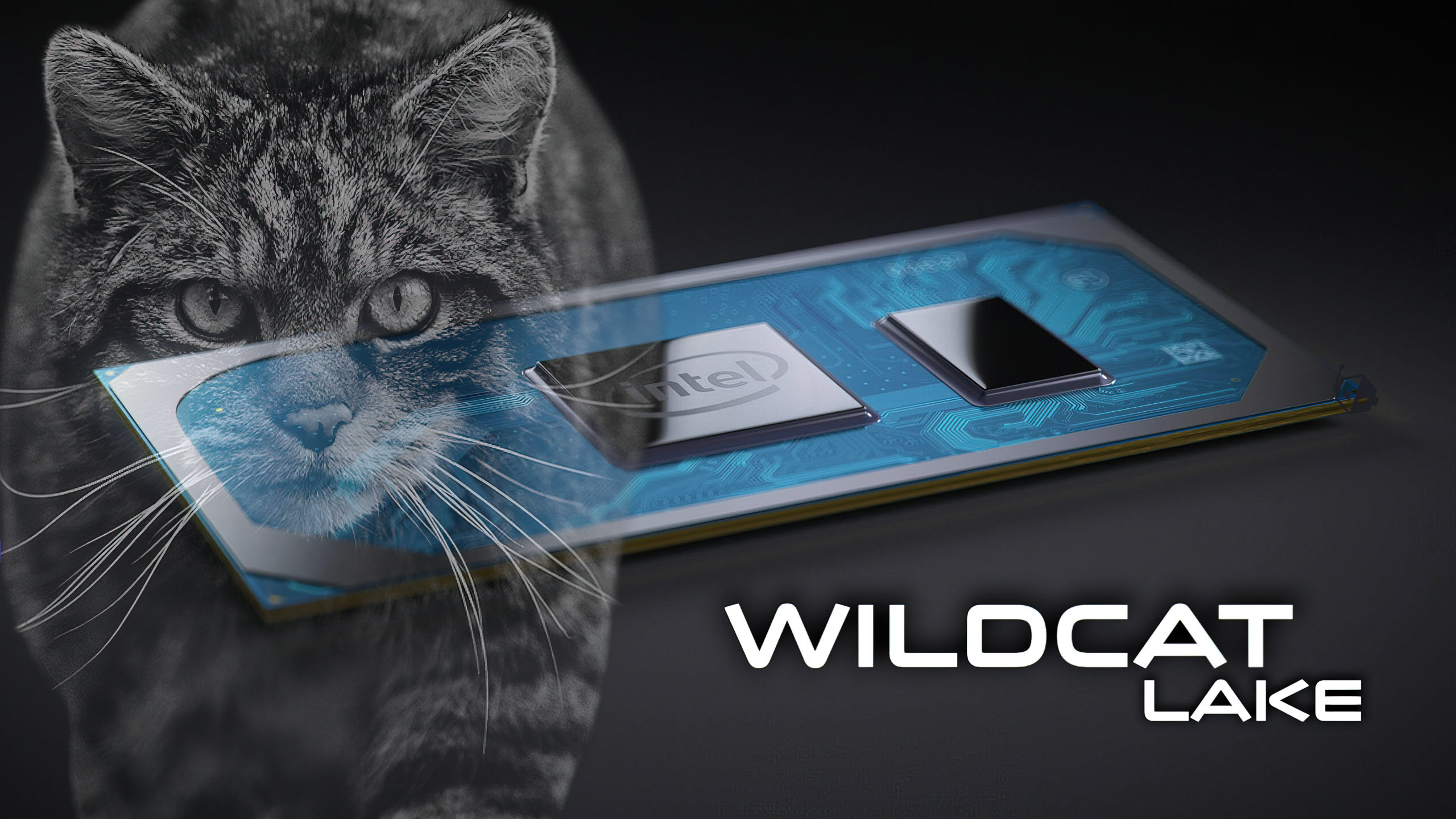 Intel Wildcat Lake chip with an overlay of a wildcat face, showcasing technology and nature.