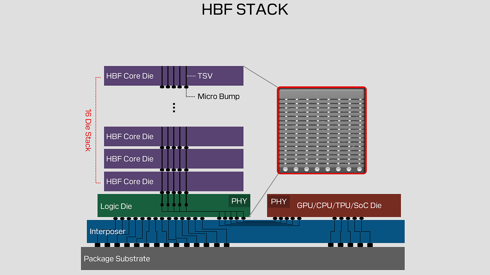 Diagram of HBF stack architecture showing core, logic, interposer, and GPU/CPU/TPU/SoC dies.