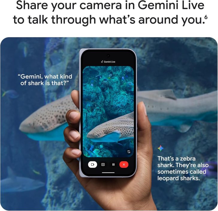 Person using Gemini Live app to identify zebra shark in aquarium.