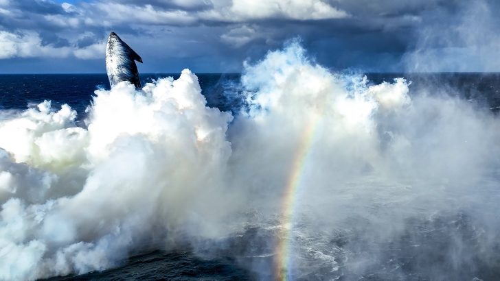 SpaceX Starship rocket ascends surrounded by clouds and a rainbow over the ocean.