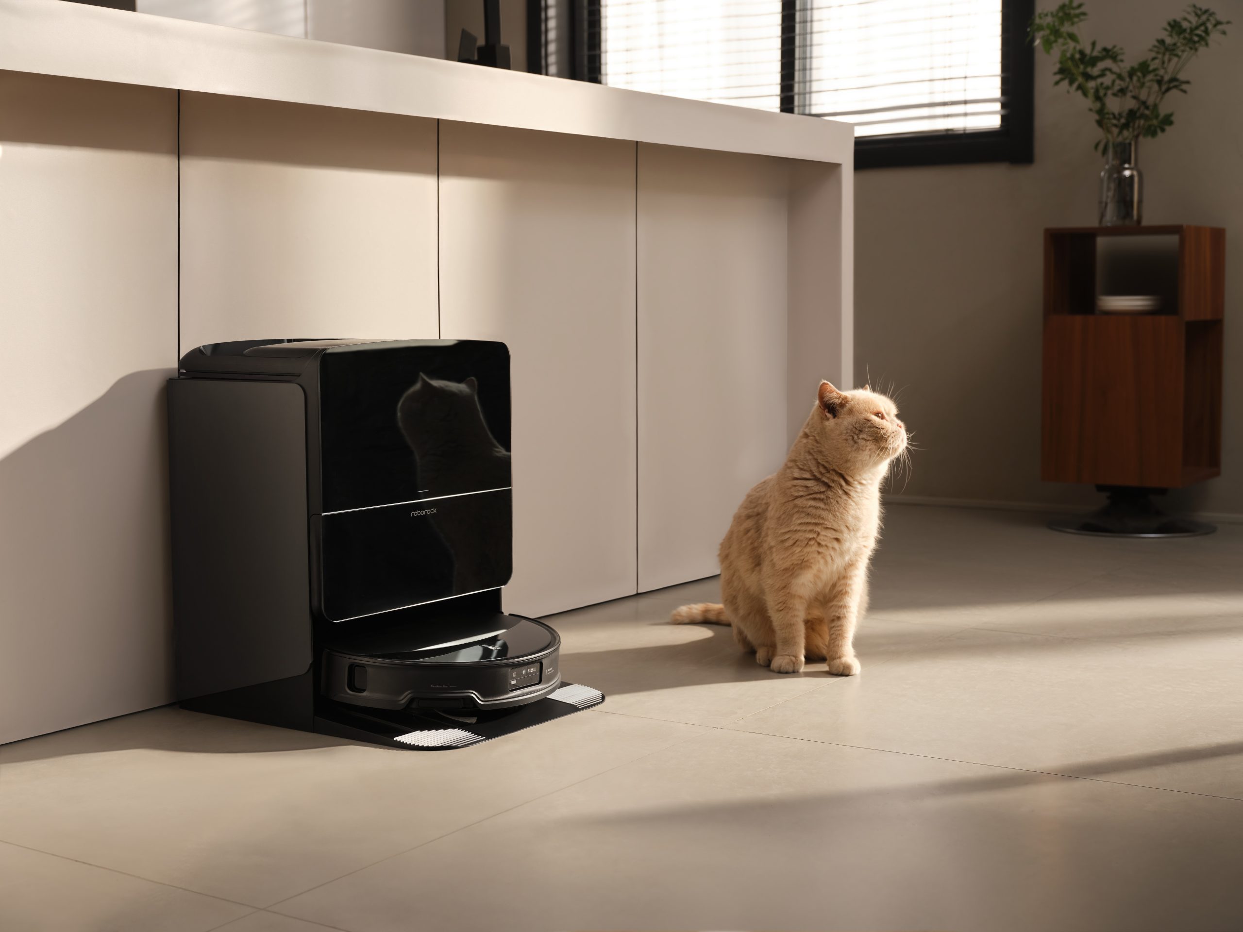 A Roborock S8 Pro Ultra robot vacuum is positioned on its docking station beside a light brown cat.
