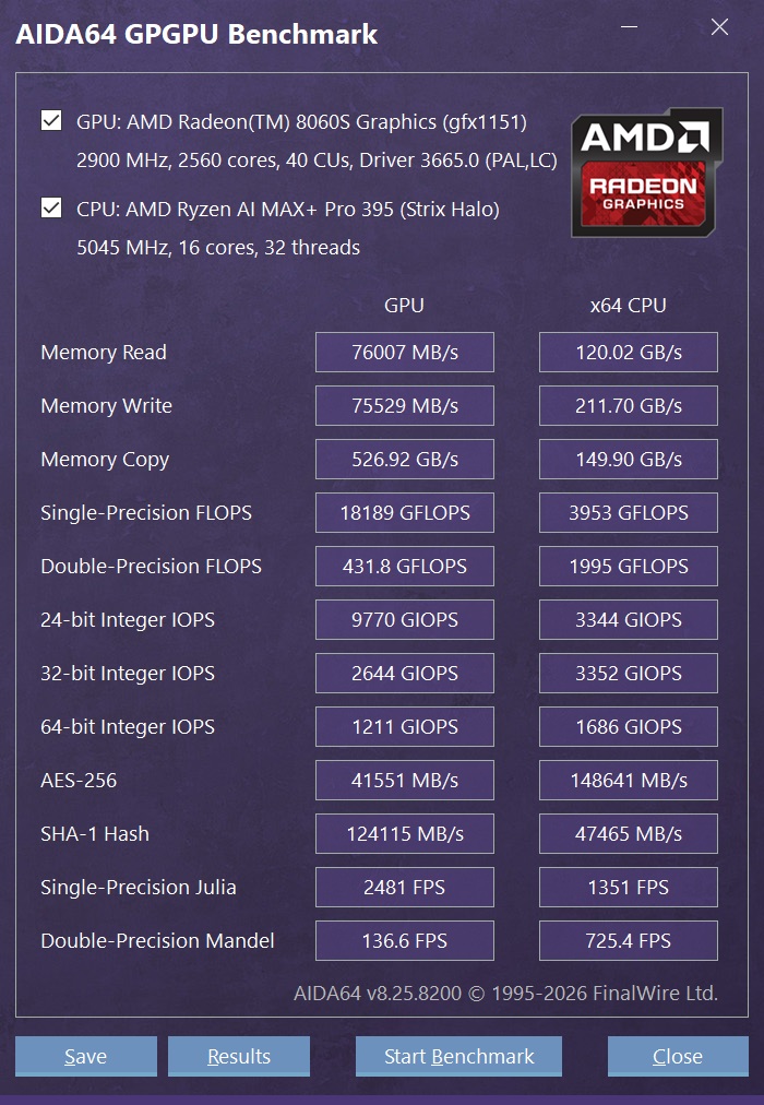The image shows an AIDA64 GPGPU Benchmark displaying specifications and performance metrics for an AMD Radeon 8060S Graphics