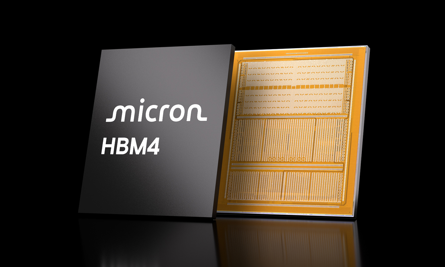 Micron HBM4 memory chip displayed next to its exposed circuitry on a black background.