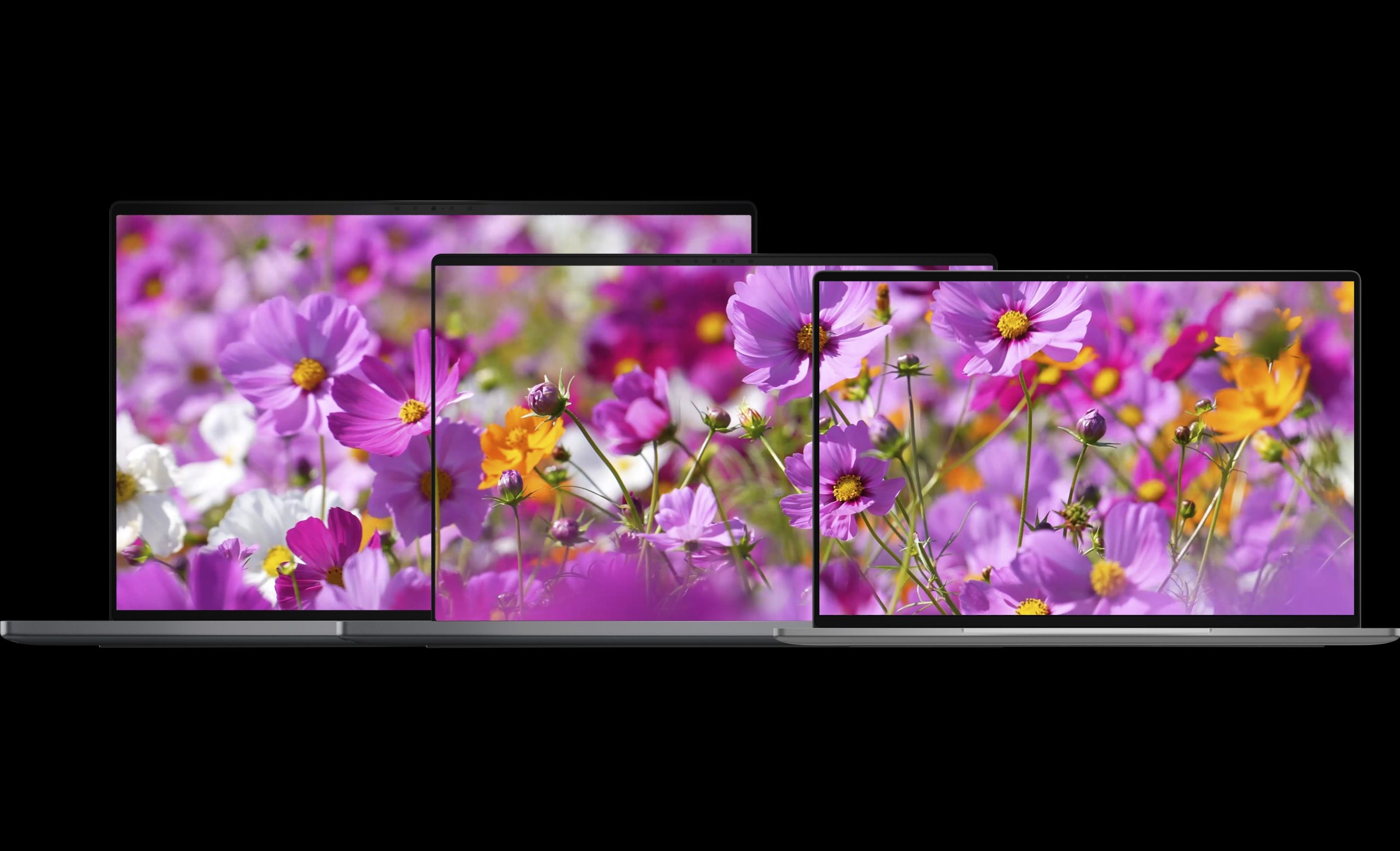 Three Apple MacBook Pro laptops in different sizes displaying vivid pink and yellow flowers on their screens.