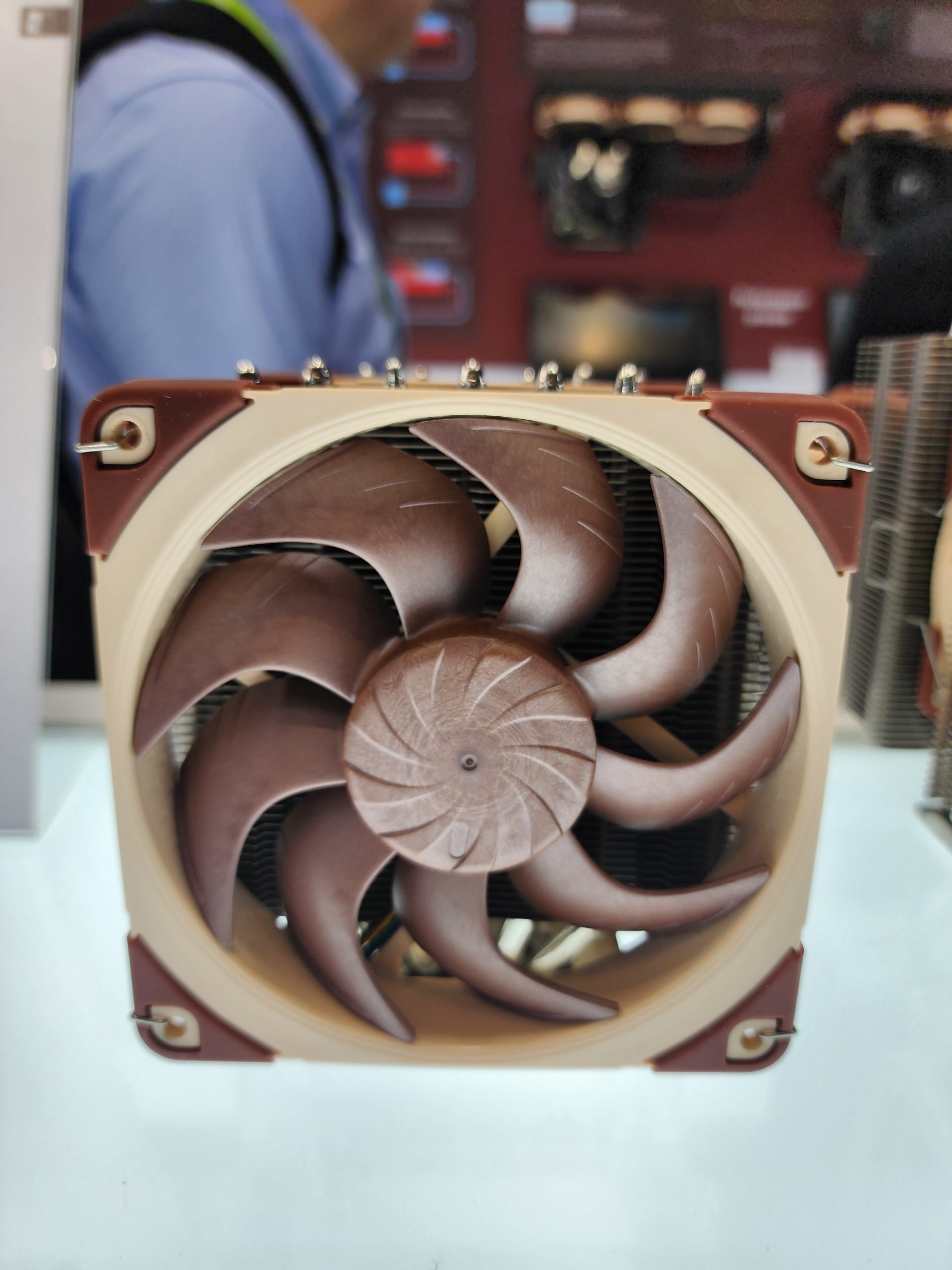 A Noctua CPU cooler with a brown fan is displayed on a table.