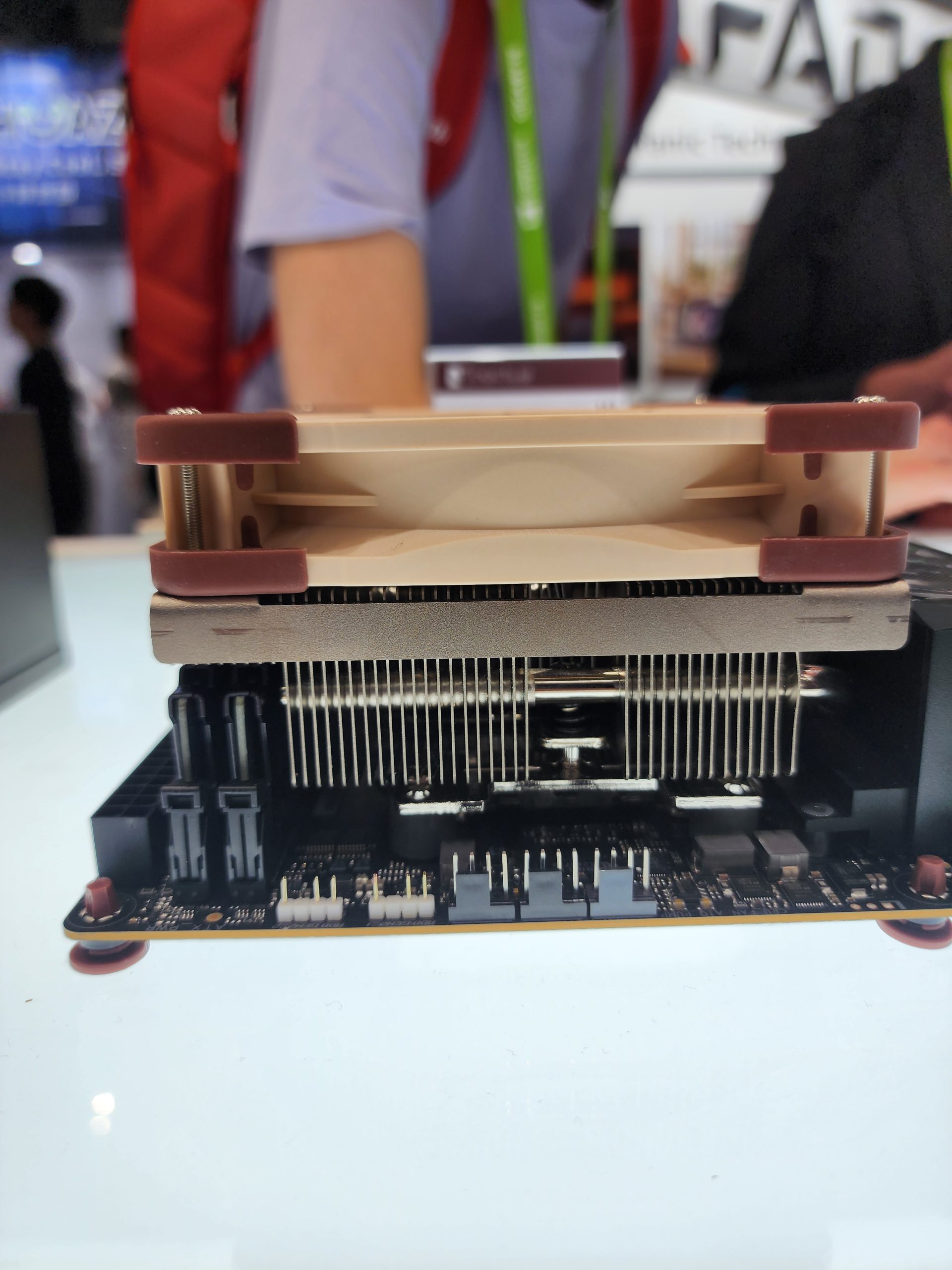 A Noctua low-profile cooling fan is mounted on a motherboard, visible on a display table.