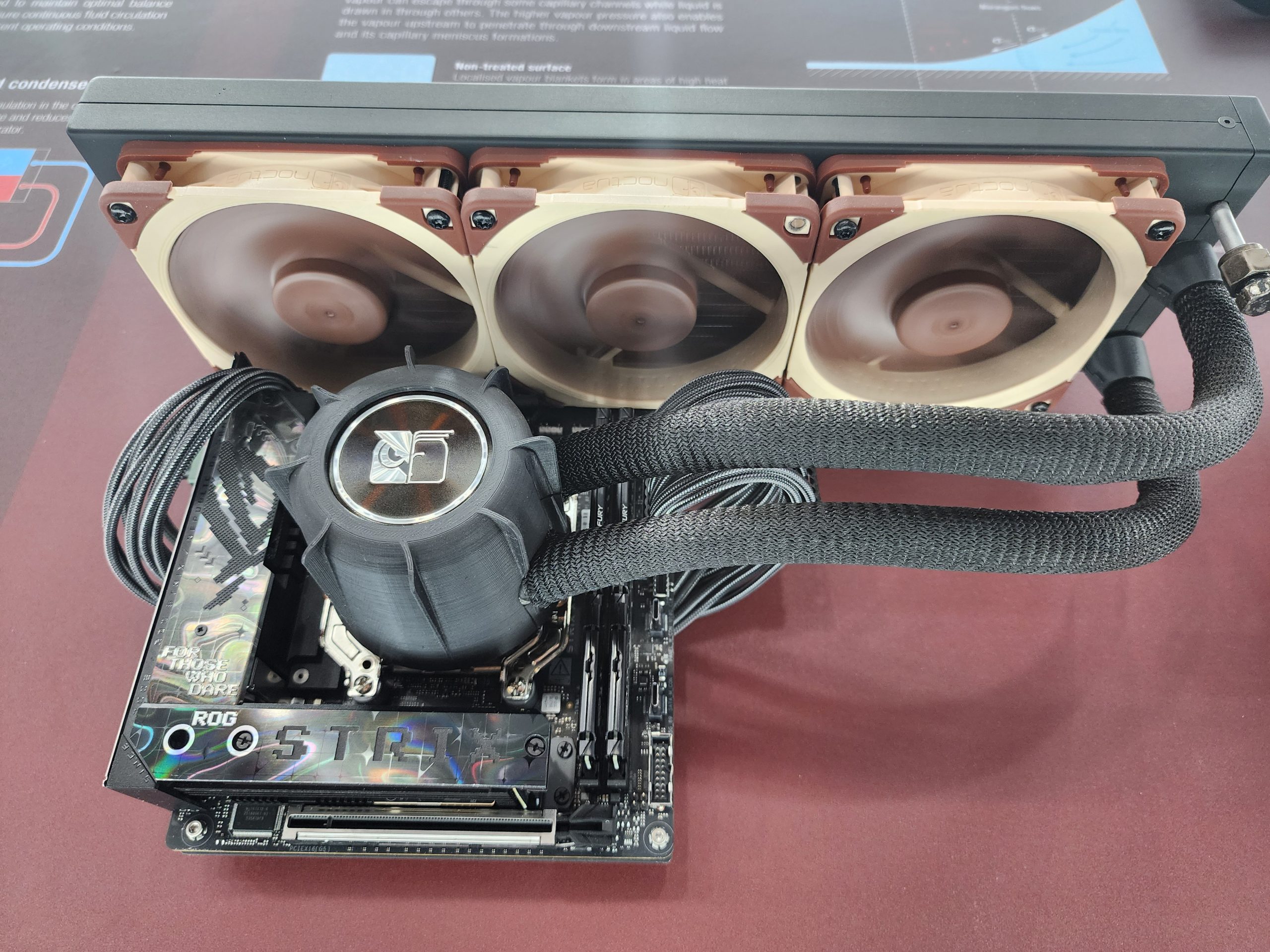 A ROG Strix motherboard is equipped with a Noctua three-fan cooling system and a Swiftech water block, showcased on a red surface.