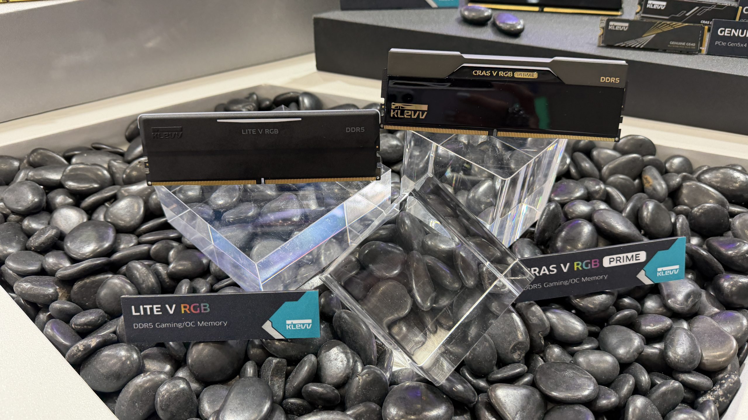 KLEVV DDR5 RAM modules, 'LITE V RGB' and 'CRAS V RGB PRIME,' are displayed on acrylic stands surrounded by black stones.