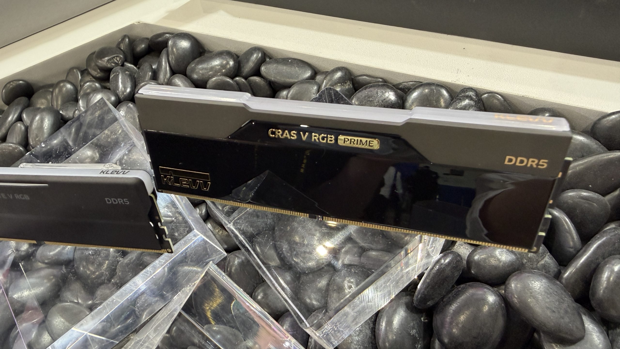 KLEVV Cras V RGB Prime DDR5 memory modules displayed on a bed of decorative stones.