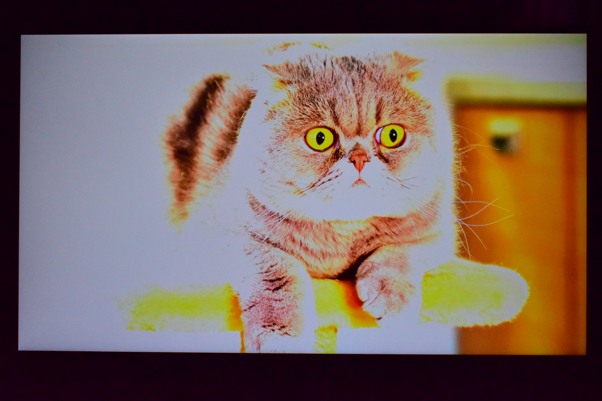 An artificially color-enhanced image of a cat with bright yellow eyes lounging on a perch.