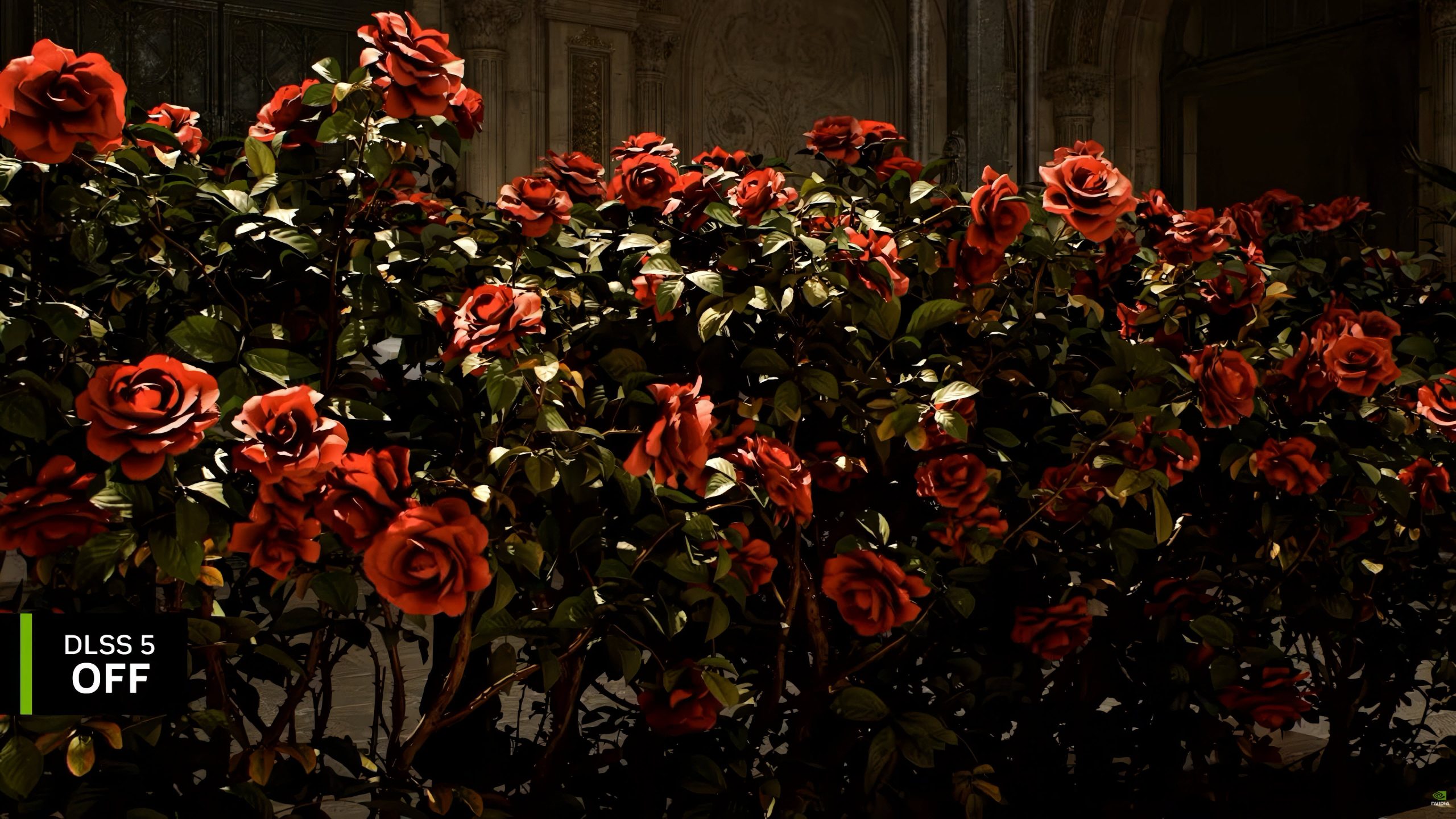 A detailed view of red roses in a video game with the on-screen text 'DLSS 5 OFF' in the corner.