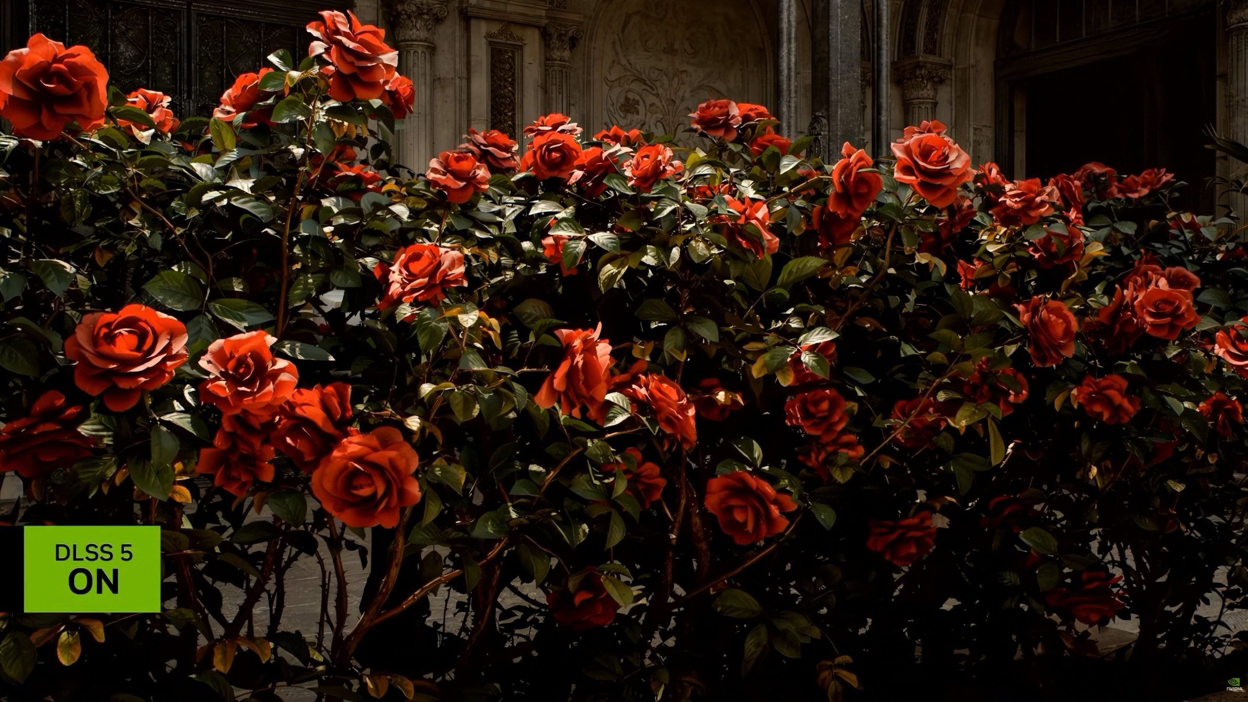A garden filled with vibrant red roses with the on-screen text 'DLSS 5 ON' displayed in the bottom left corner.