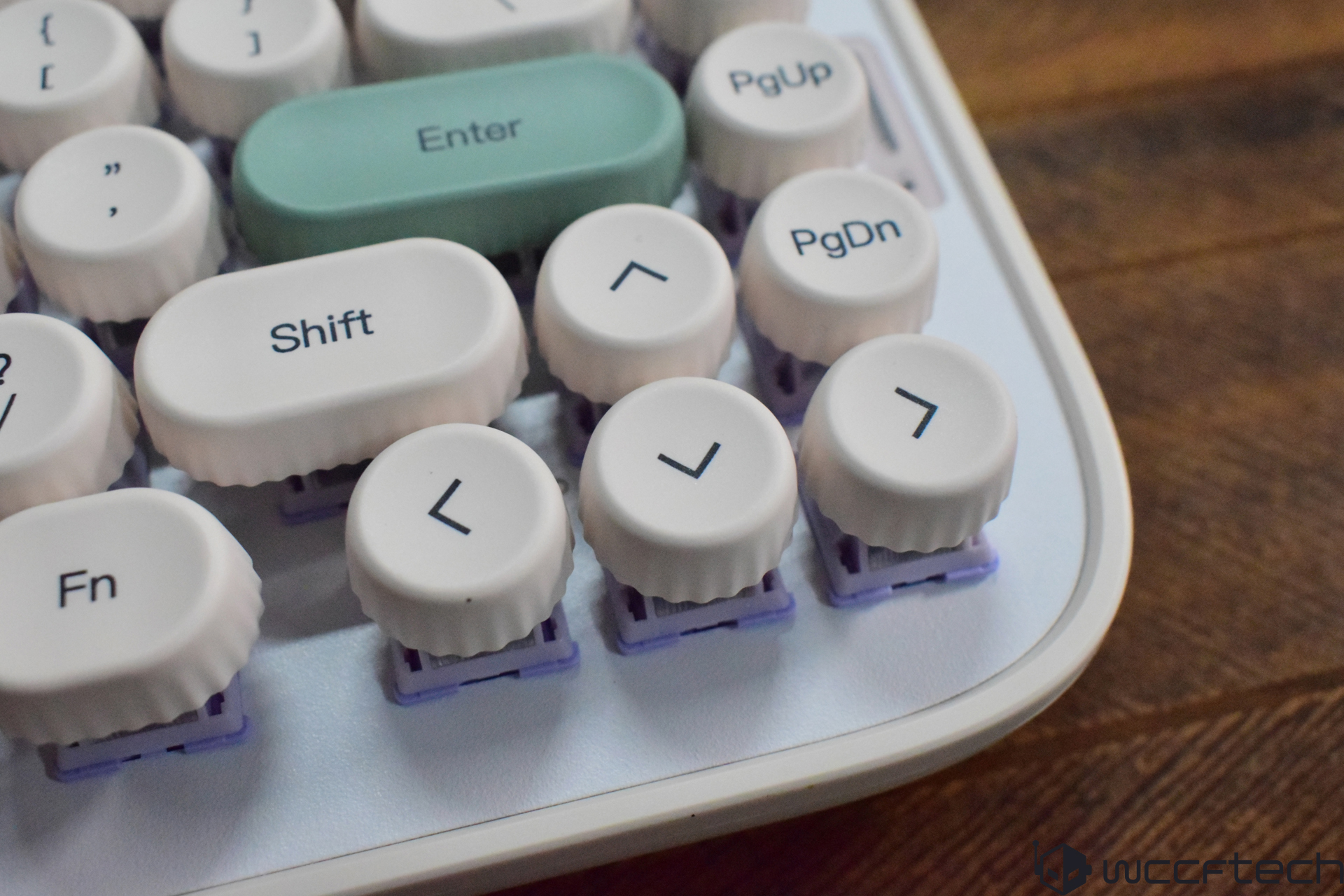 A close-up of a retro-style mechanical keyboard with round keycaps displaying 'Enter,' 'Shift,' 'Fn,' 'PgUp,' and 'PgDn' keys.