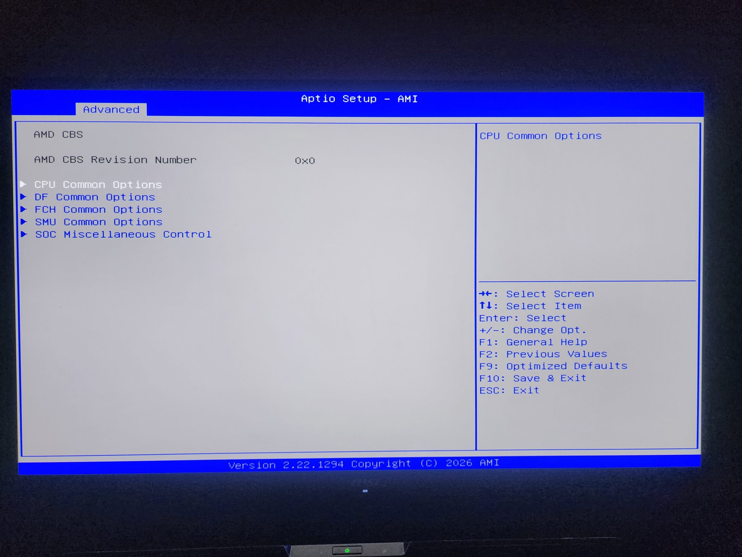 The BIOS menu titled 'Aptio Setup - AMI' shows the 'Advanced' tab with options for 'AMD CBS' and various common options like 'CPU Common Options', and navigation instructions on the right.