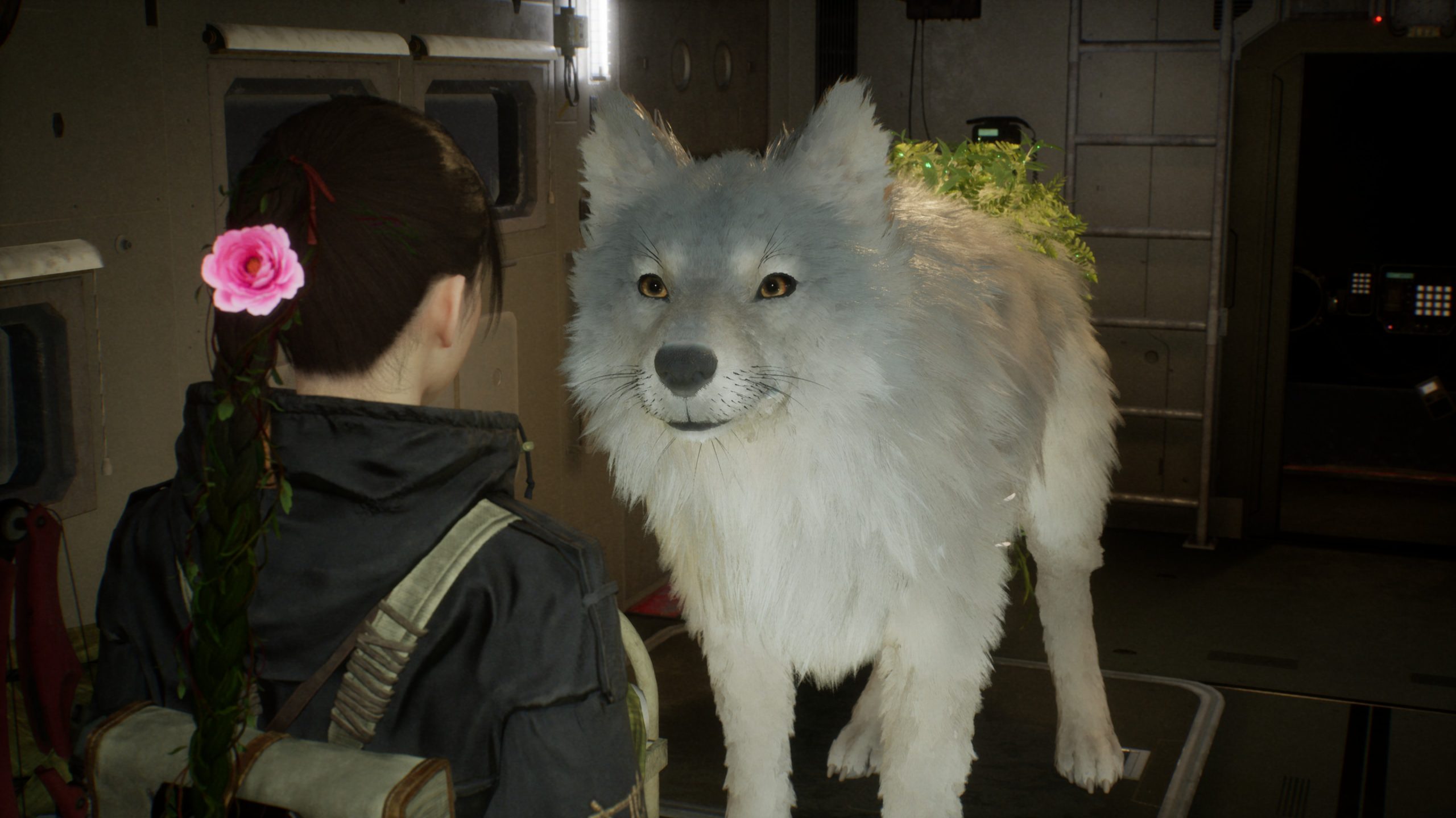 A character in a game setting faces a large, fluffy white creature resembling a wolf with plants on its back.